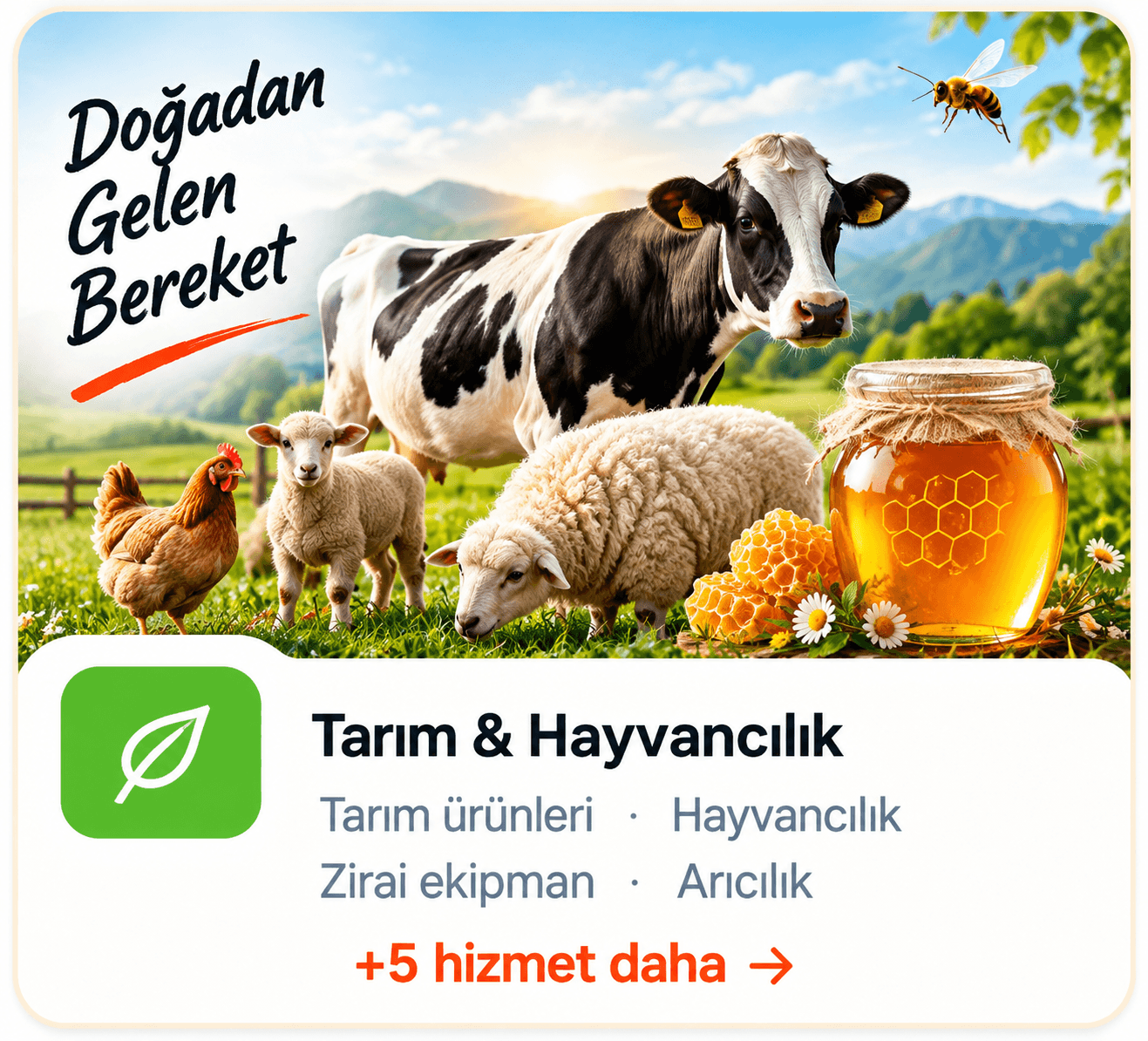 Tarım & Hayvancılık