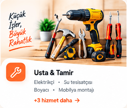 Usta & Tamir